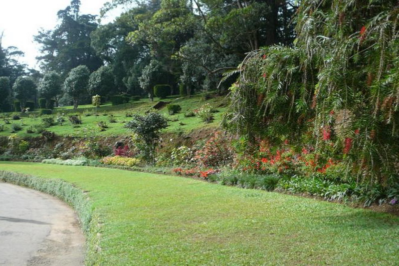 Sri Lanka, Xakgala Botanical Garden